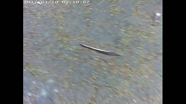 Amo que meu marido me leve pra passear e me expor para estranhos nas ruas amo ser apalpada por estanhos e punhetarem em cima de mim 