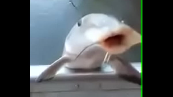 Nonton Porand Safado thumbnail