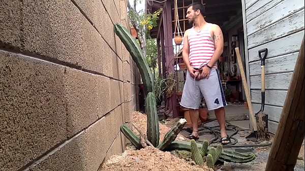 Play MP4 - Hung Brazilian taking a PISS