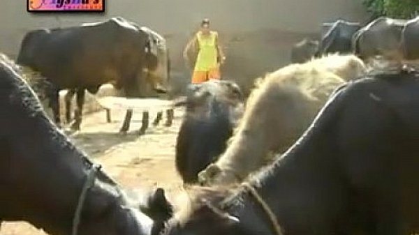 NADIA ALI HOT MUJRA GUJJRA WAY.flv 