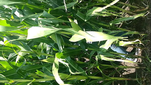 Play MP4 - Wisho pl&aacute;tica sus fantas&iacute;as sexuales con Jair&lpar;Chavita&rpar;