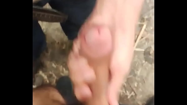 Mao amiga - Update #329 (2024-07-13T02:01:08.000Z) 