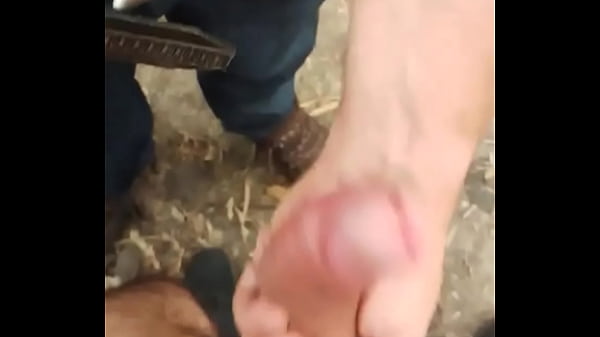 Play MP4 - Mao amiga - Update &num;329 &lpar;2024-07-13T02&colon;01&colon;08&period;000Z&rpar;