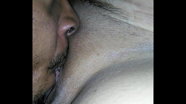 King puma eating puma 