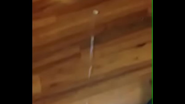 trim.C6D531E2-193A-485C-A573-547FE84918FA.MOV