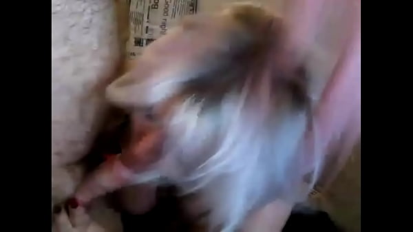 Charming mature cocksucker 