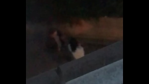 Swedish blond bitch gives a blue job