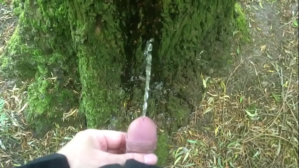 Play MP4 - Man pissing on a tree