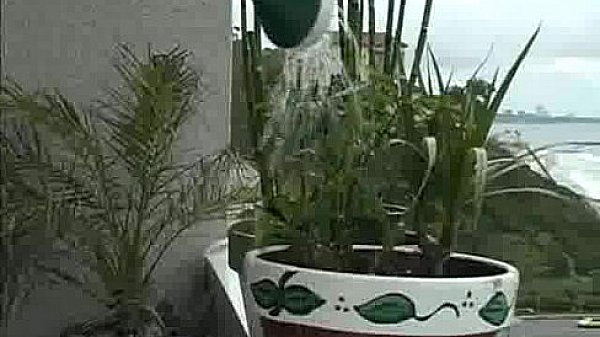 Whore Gets Facial thumbnail