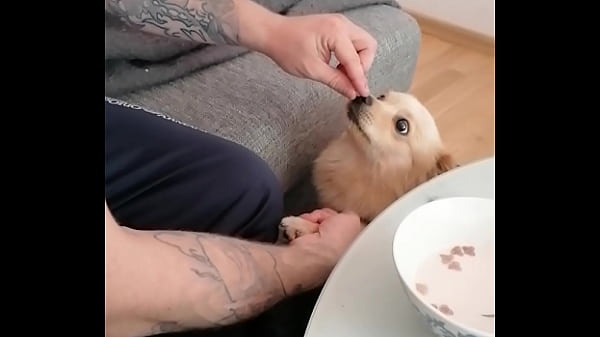 Verifikationsvideo