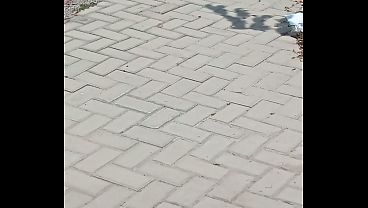 V&iacute;deo De Verificaci&oacute;n thumbnail