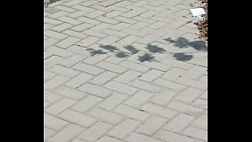 Nonton V&iacute;deo De Verificaci&oacute;n thumbnail