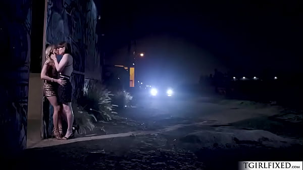 Small tits shemale Natalie Mars and female Riley Reyes exchange kisses inside the car.The female sucks trannys cock then the trans fucks her pussy. 