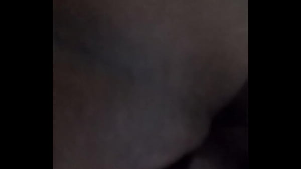 o dinossauro e a gatinha 