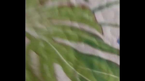 Nonton O Dinossauro E A Gatinha thumbnail