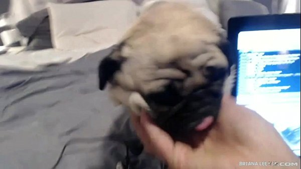 Play MP4 - Briana Lee Member Show June 18th 2015