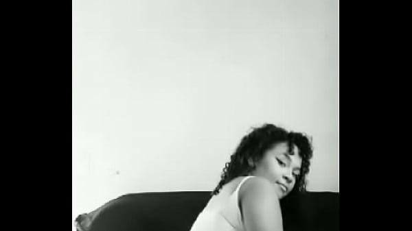 Gata dan&ccedil;ando 