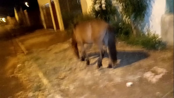 Play MP4 - minha priminha sozinha  na rua vindo do bailao meti a vara meu pinto no cusinho anal gostoso nela