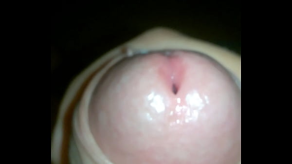 WP 20180301 16 08 02 Pro