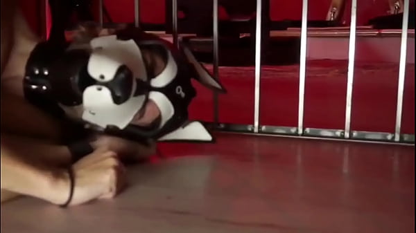 PUPPY ORLANDO SULLA SLING CON FUCK MACHINE 