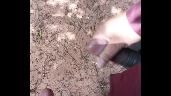 Play MP4 - Tarde No Parque