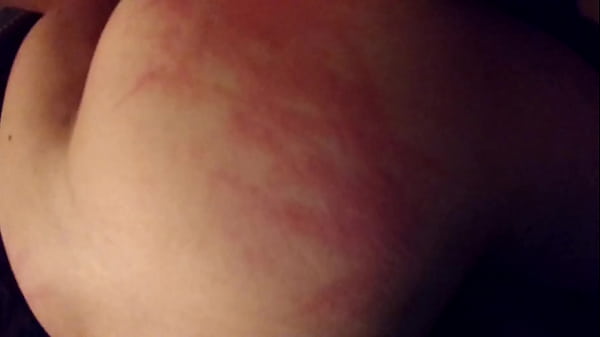 perrita jujeña le encanta