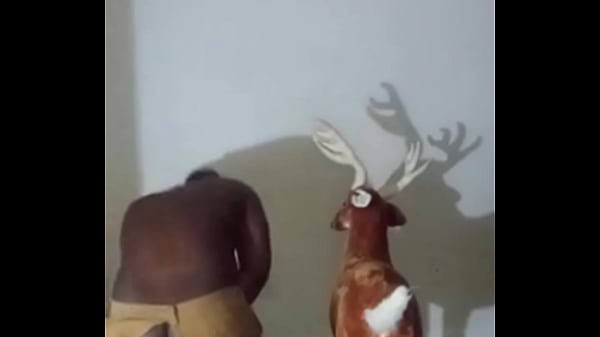 Similar colors to creamy peanut butter 3 