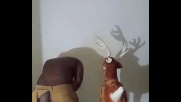 Similar colors to creamy peanut butter 3 