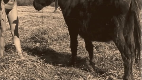 'Beauty & The Beast', My Secret Life 