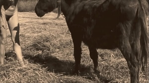 Play MP4 - Dark Lantern Entertainment presents