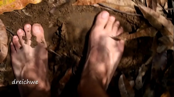 Feeding Plants And Flowers Of The Field thumbnail