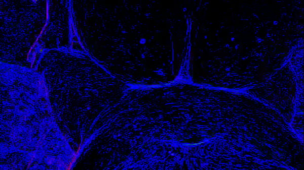 Smarien75 andShellyseth in the blacklight