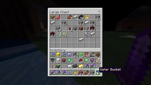 Minecraft gamer time