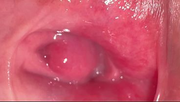 Yukimori & nanami's fun sex diary 