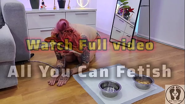 Nonton Promo Pooch Rubbing Couch And Masturbates With Special Dildo thumbnail