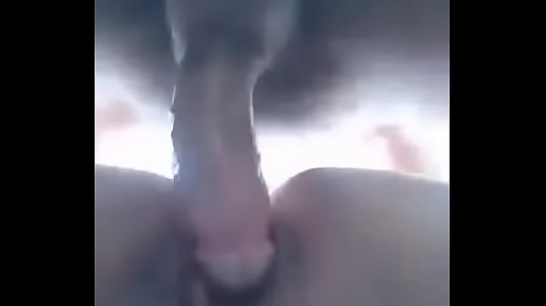 Veneca peruana deliciosa