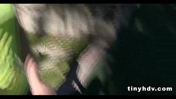 Gorgeous teen_fucked_pov Nikki Lavay_81