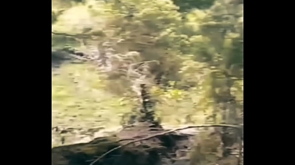 Play MP4 - Sexo al aire libre con extra&ntilde;o que me mira hace d&iacute;as atras