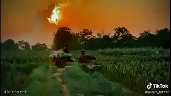 Video x&aacute;c minh 