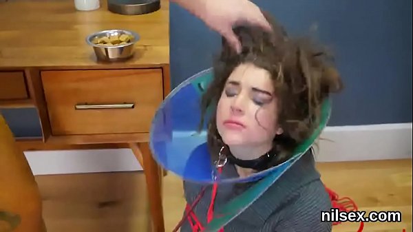 Foxycutie is taken_in anal_assylum_for painful therapy