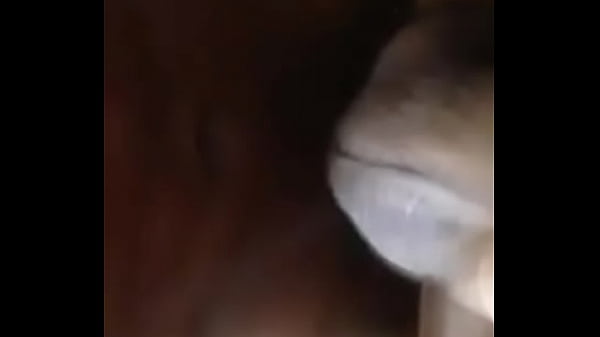 Mavambo metendo por dinheiro