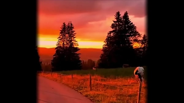 Y se lo paso sin coins 