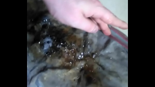 Kutas papieros_i ślina