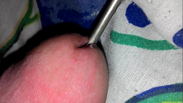 That's where my screwdriver went! I've be fuckin it. 