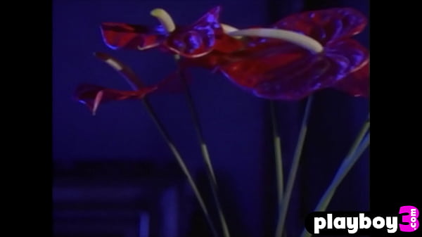 Beautiful brunette babe with nice ass Roos Van Montfort shows_naked body