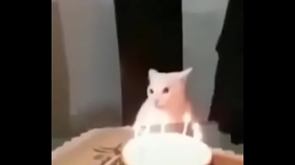 V&iacute;deo de verifica&ccedil;&atilde;o 