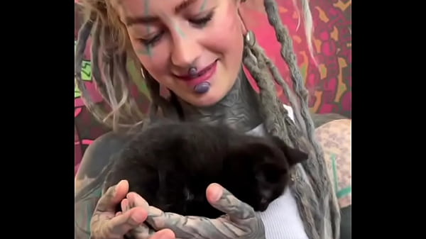 Kittens kittens kittens what&rsquo;s your favorite kitten moment #kittenobsession #furry #cuddlebuddies #inkedmode 