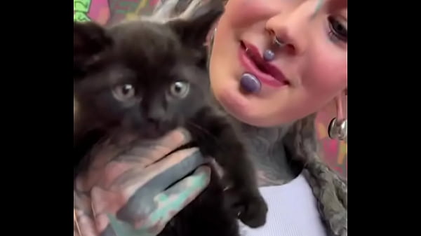 Kittens kittens kittens what&rsquo;s your favorite kitten moment #kittenobsession #furry #cuddlebuddies #inkedmode 