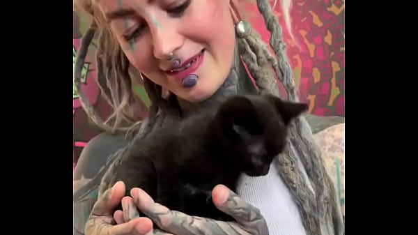 Play MP4 - Kittens&comma; kittens&comma; kittens&excl; &quest;What&rsquo;s your favorite kitten moment&quest;&num;KittenObsession &num;Furry &num;CuddleBuddies &num;InkedMode&period;&period;&period;