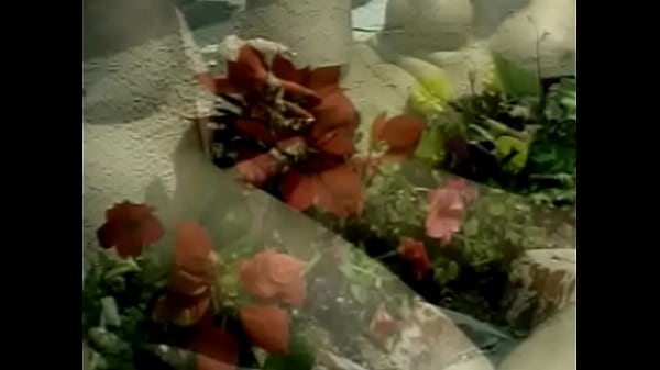 Play MP4 - RAIN 025 01